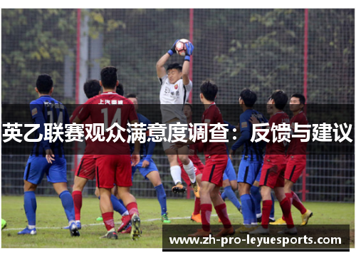 英乙联赛观众满意度调查：反馈与建议