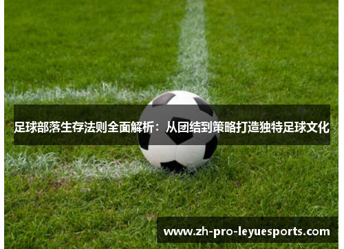 足球部落生存法则全面解析：从团结到策略打造独特足球文化