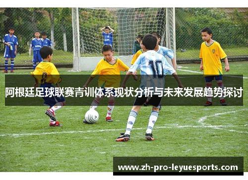 阿根廷足球联赛青训体系现状分析与未来发展趋势探讨