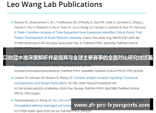 以欧冠水准深度解析并呈现其与全球主要赛事的全面对比研究综述篇 以欧冠水准深度解析并呈现其与全球主要赛事的全面对比研究综述篇