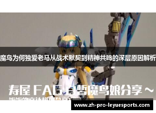 魔鸟为何独爱老马从战术默契到精神共鸣的深层原因解析