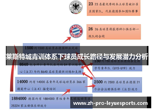 莱斯特城青训体系下球员成长路径与发展潜力分析 莱斯特城青训体系下球员成长路径与发展潜力分析