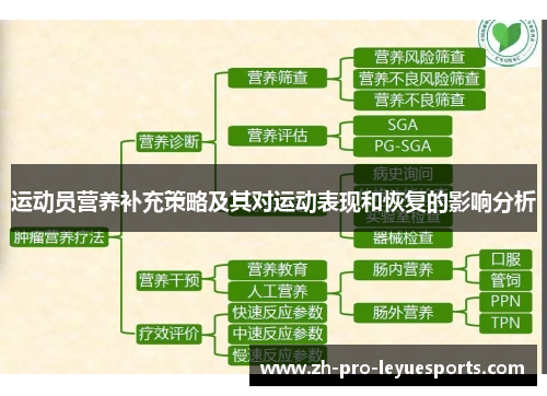 运动员营养补充策略及其对运动表现和恢复的影响分析 运动员营养补充策略及其对运动表现和恢复的影响分析