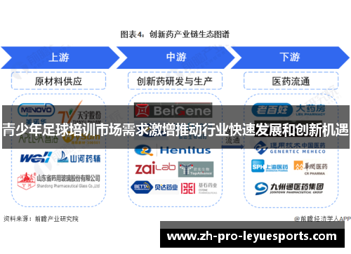 青少年足球培训市场需求激增推动行业快速发展和创新机遇