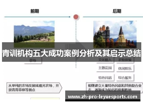 青训机构五大成功案例分析及其启示总结